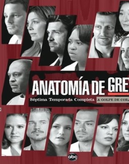 ver Anatomía de Grey temporada 7 online