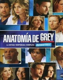 ver Anatomía de Grey temporada 8 online
