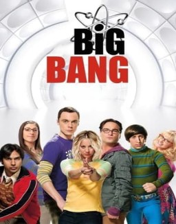 ver Big Bang temporada 9 online