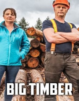 ver Big Timber temporada 1 online