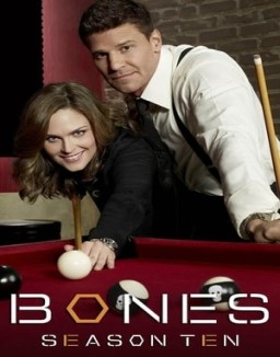 ver Bones temporada 10 online