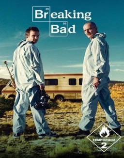ver Breaking Bad temporada 2 online