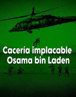 Cacería implacable: Osama bin Laden online gratis