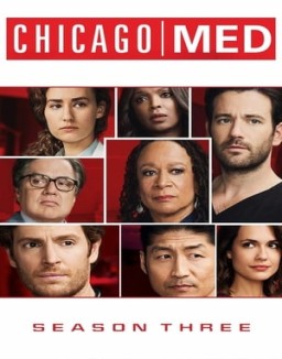 ver Chicago Med temporada 3 online