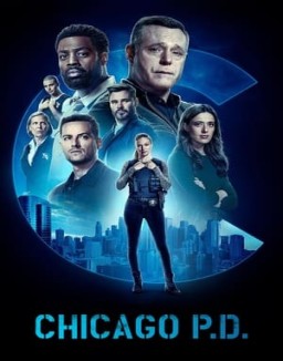 ver Chicago P.D. temporada 10 online