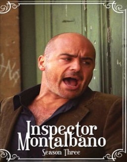 ver Comisario Montalbano temporada 3 online