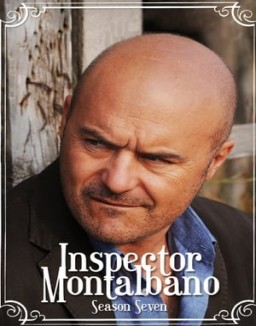 ver Comisario Montalbano temporada 7 online