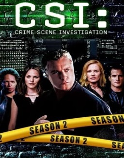 ver CSI: Las Vegas temporada 2 online