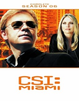 ver CSI: Miami temporada 6 online
