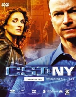 ver CSI: Nueva York temporada 3 online