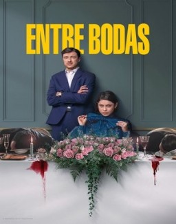 Entre Bodas ver series