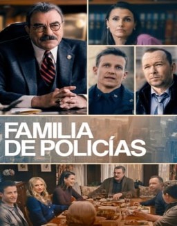 ver Familia de policías temporada 13 online