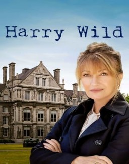 ver Harry Wild temporada 1 online