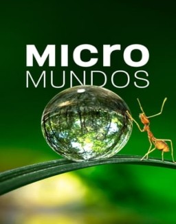 ver Micromundos temporada 1 online