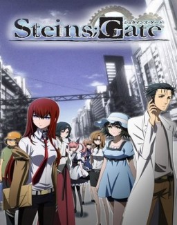 Steins Gate ver series