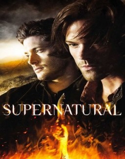 ver Supernatural temporada 10 online