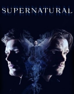 ver Supernatural temporada 14 online