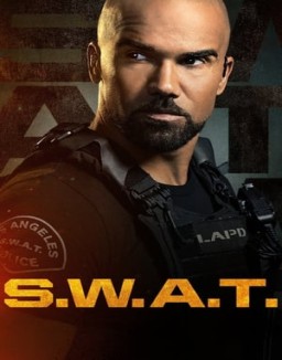 ver S.W.A.T. temporada 6 online