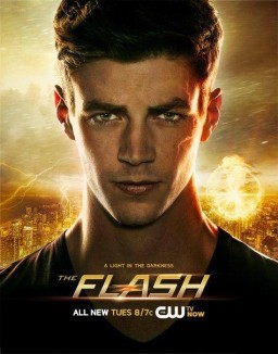 ver The Flash temporada 1 online