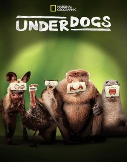 Underdogs online gratis