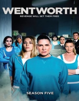 ver Wentworth temporada 5 online